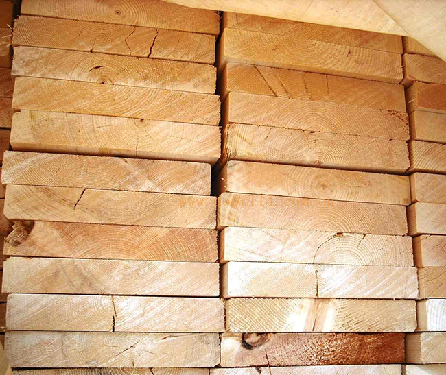 将乐智利辐射松方木